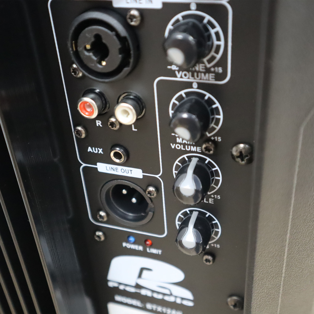 BTX12AII Cabina Activa 12" 350W RMS Pa Pro Audio - Imagen 4
