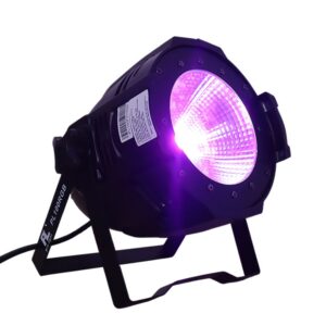 PL100RGB Par Led 1X100W RGB ProLight