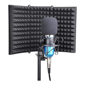 W10 Cortaviento / Espuma Negra Grande para Microfono de Estudio de Grabacion Takstar